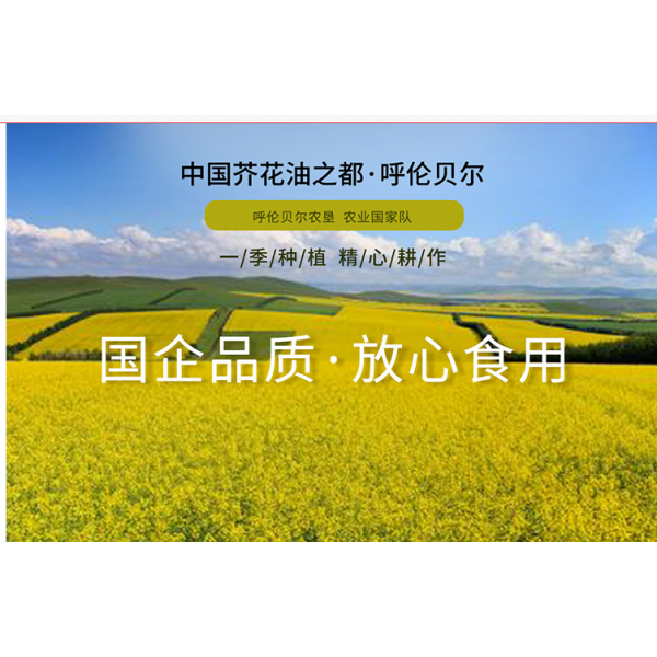 苍茫谣压榨一级芥花油系列图2