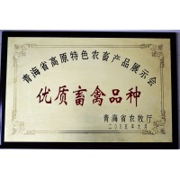 优质畜禽品种