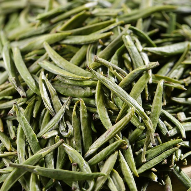 贵州绿茶 安顺瀑布茶 办公茶2021新茶 特级翠芽50g罐装图3
