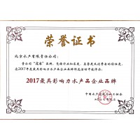 2017年最具影响力品牌