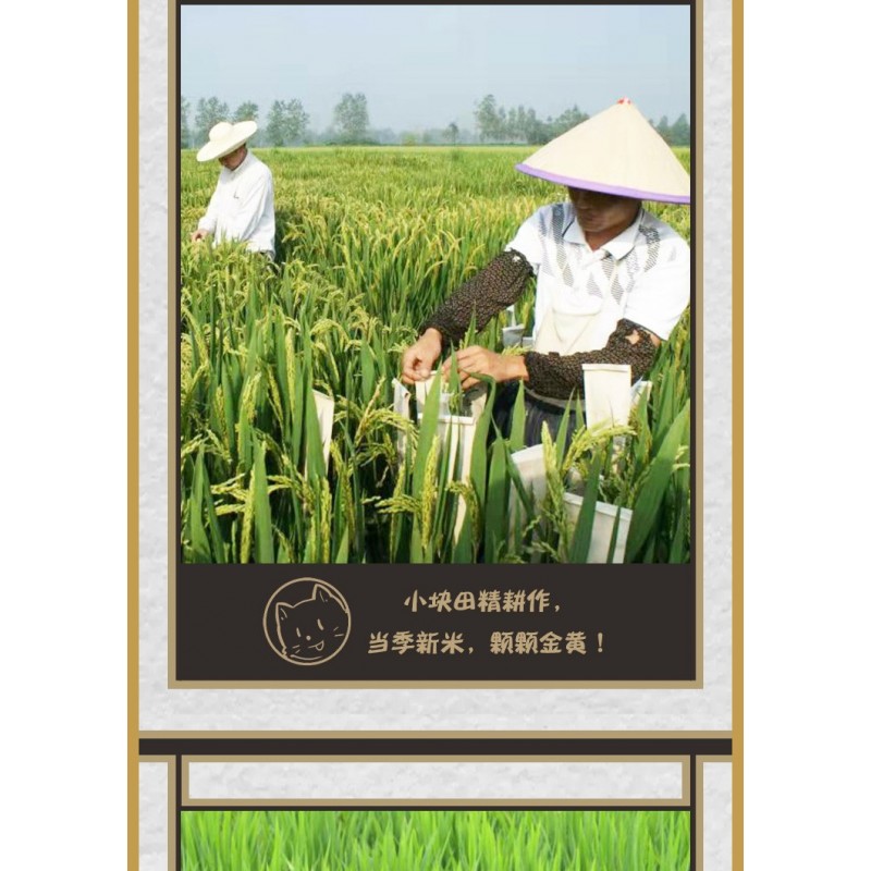 安徽倮倮鸭稻米2020新米稻鸭共养 皖垦正宗生态大米5kg装图5