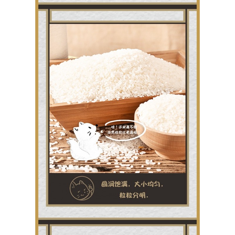 安徽倮倮大米含硒元素绿色食品长粒型粳米大米硒米5kg袋装图3