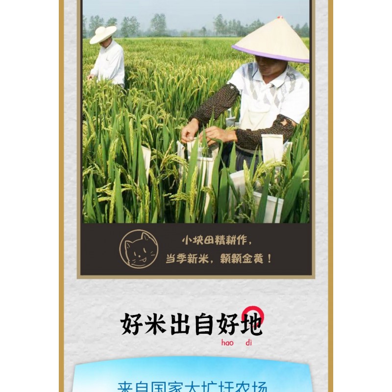 安徽倮倮大米含硒元素绿色食品长粒型粳米大米硒米5kg袋装图5