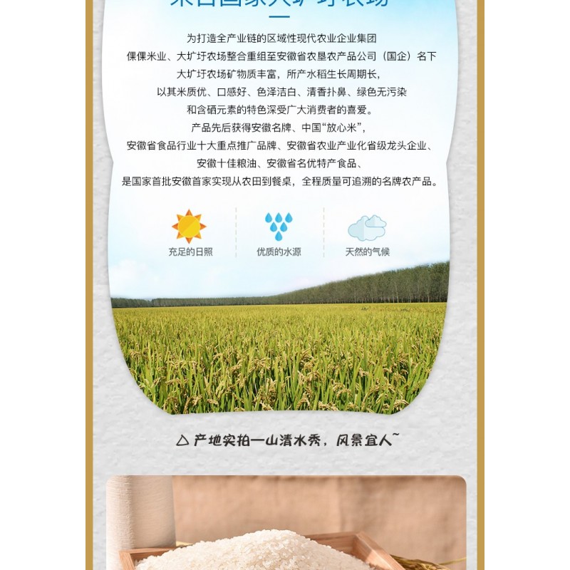 安徽倮倮大米含硒元素绿色食品长粒型粳米大米硒米5kg袋装图6