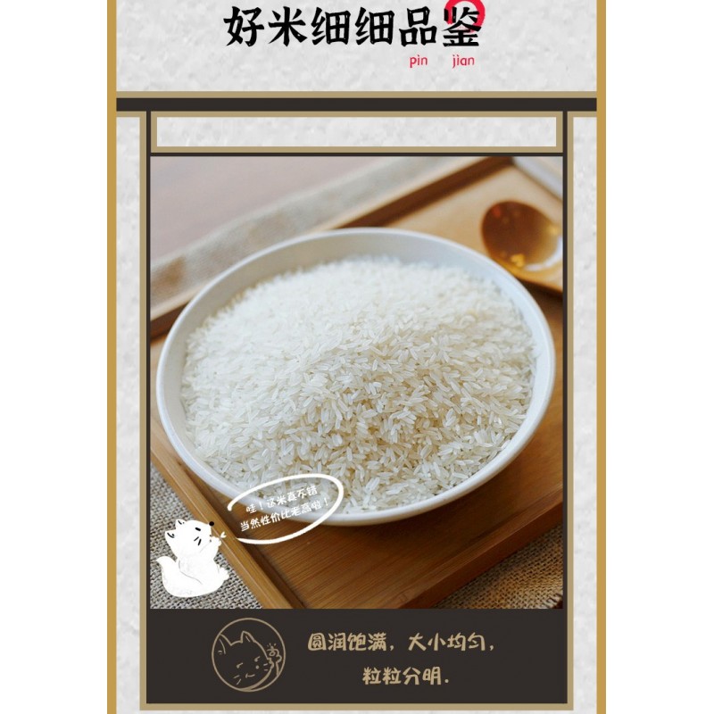 安徽倮倮虾稻米天然绿色食品珍香米长粒大米2.5kg袋装图3
