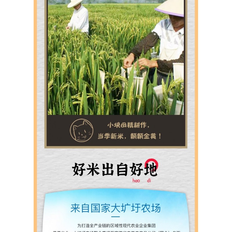 倮倮食用宝宝粥米粳米胚芽米图5