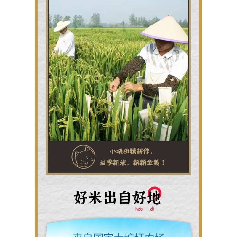 倮倮皖垦鲜香糯米米粒饱满绿色食品真空包装2.5kg图5