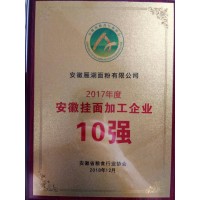 安徽挂面加工十强企业
