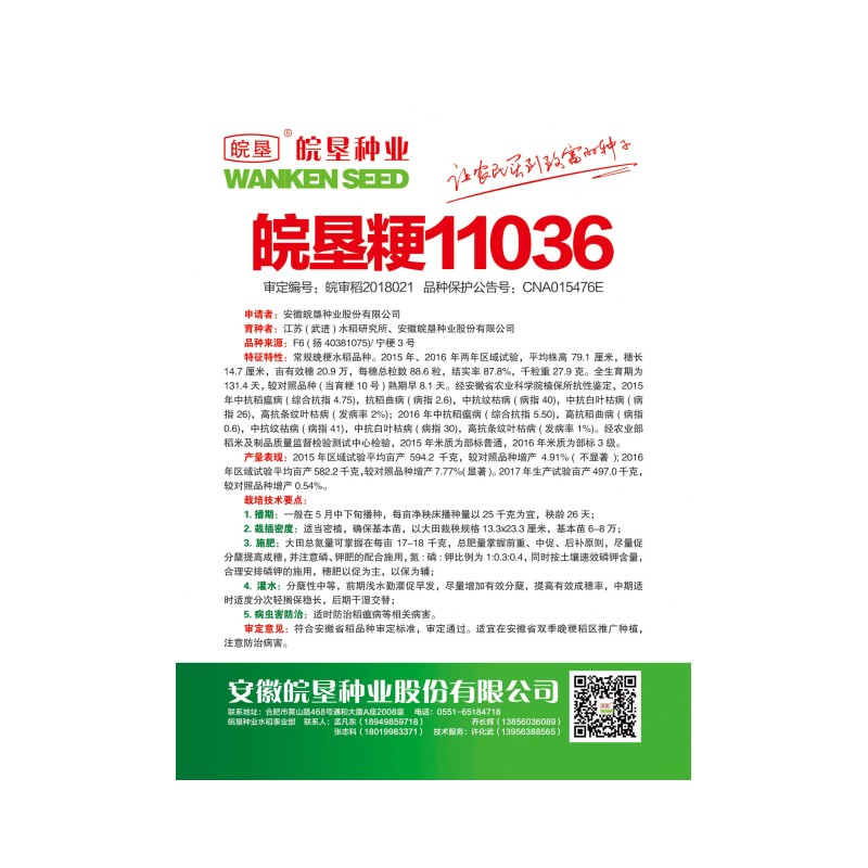 皖垦粳11036