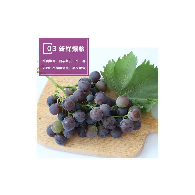 巨玫瑰葡萄图4