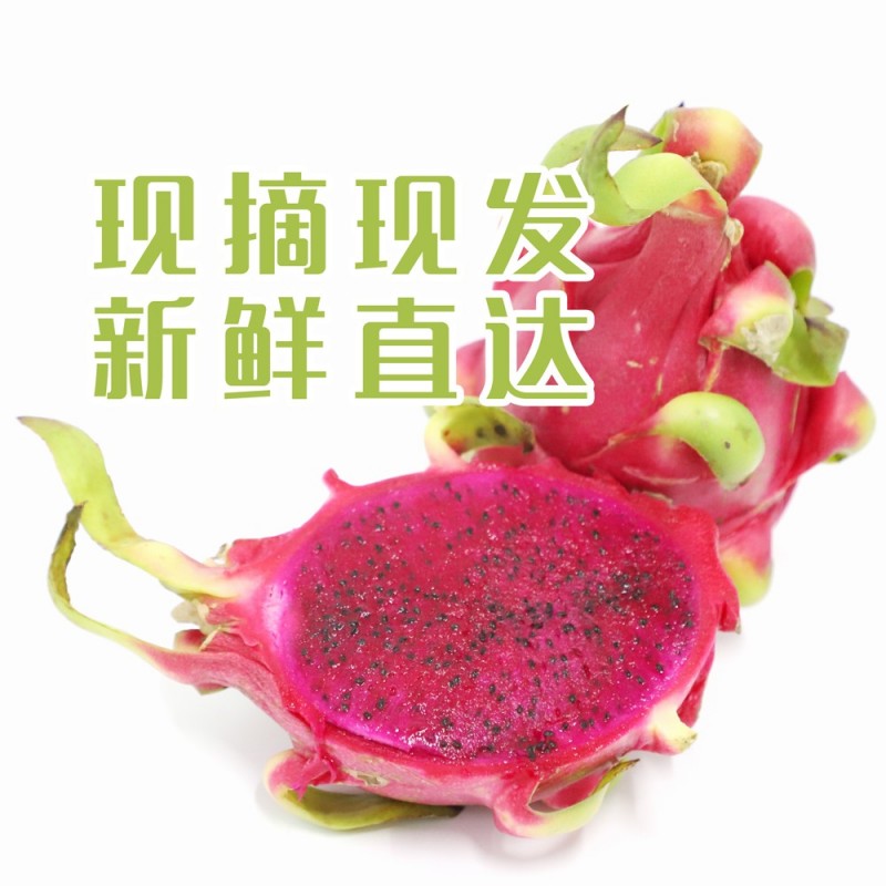 红心火龙果图2