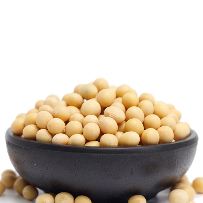 皖垦黄豆五谷杂粮粗粮农家种植大豆打豆浆豆类罐装410g/罐图4