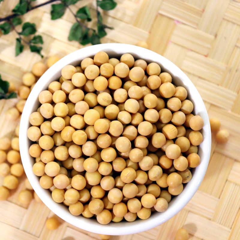 皖垦黄豆五谷杂粮粗粮农家种植大豆打豆浆豆类罐装410g/罐图3