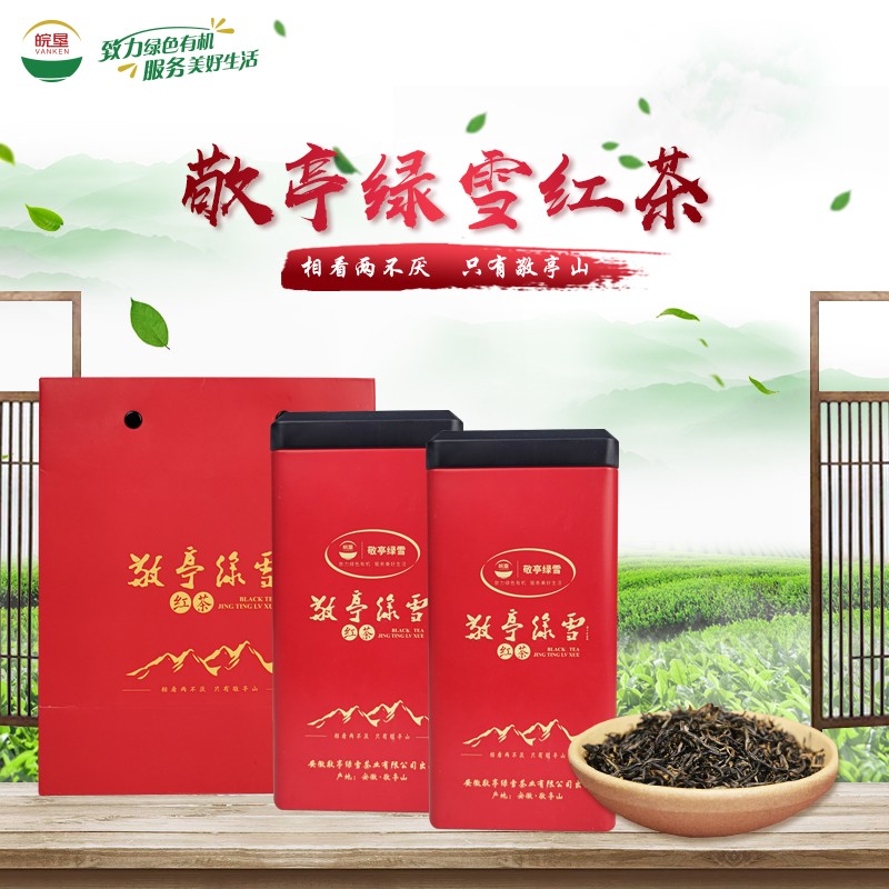 皖垦敬亭绿雪红茶2021年一级新茶鲜嫩芽叶50g/罐