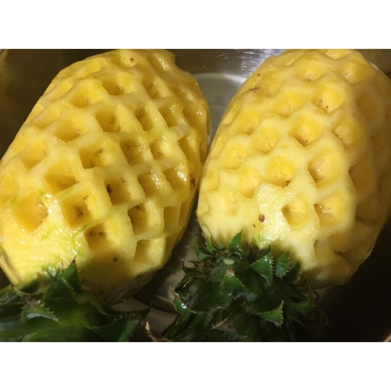 广东农垦菠萝的海鲜菠萝，万亩菠萝基地图4