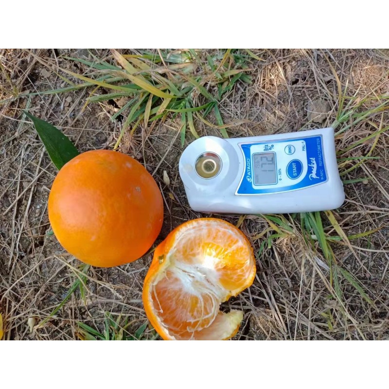 礼盒装沃柑图2