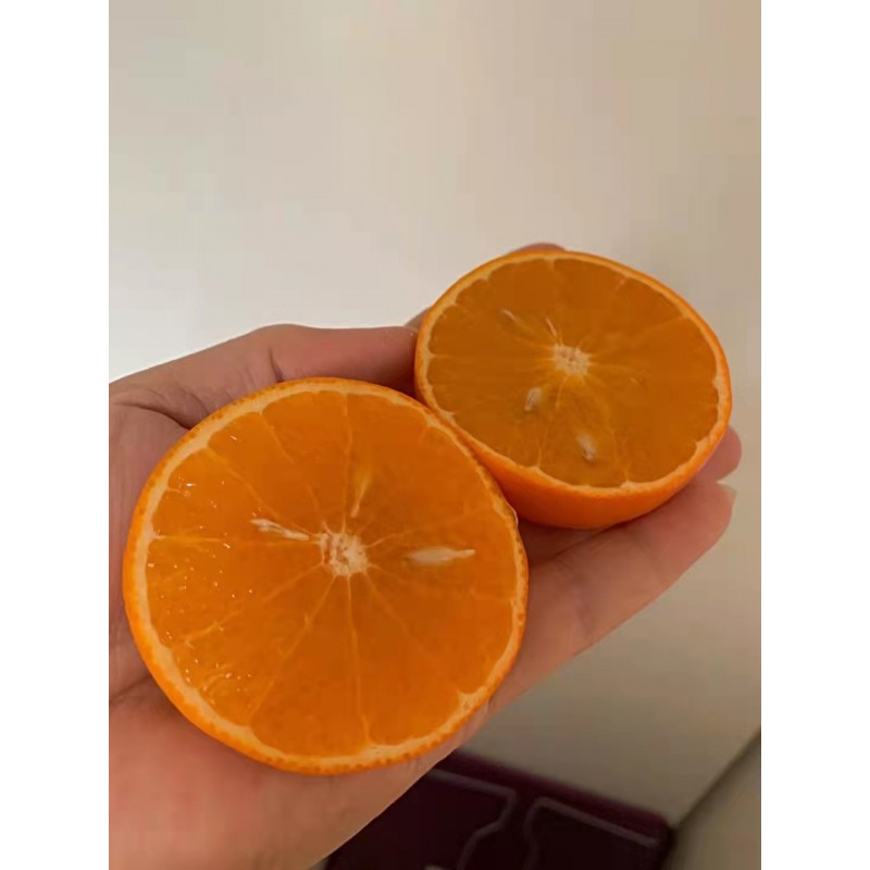 沃柑鲜果图6