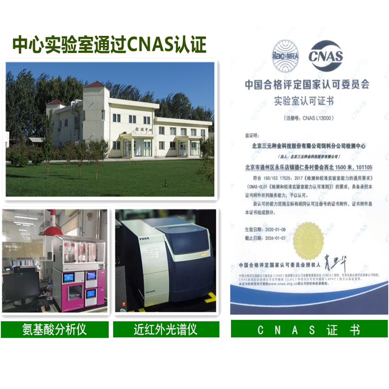 羔羊精料补充料图3